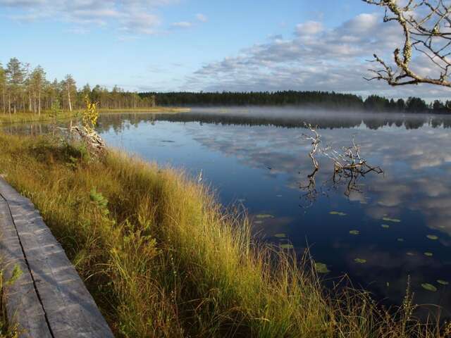 Мини-отель Koirasalmen Luontotupa Kivijärvi-30